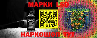 тгк Канаш