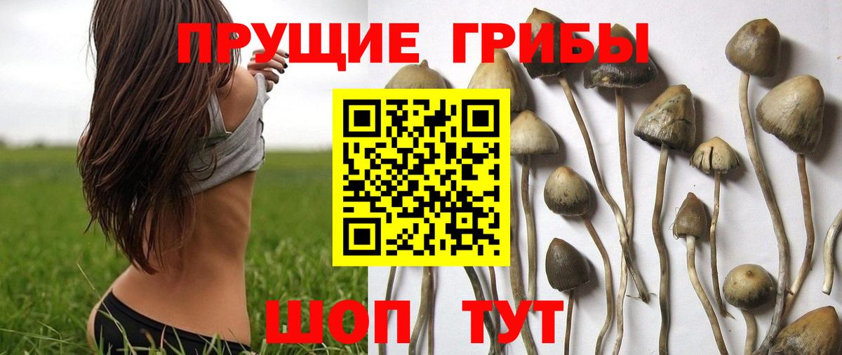 Псилоцибиновые грибы мухоморы Ярцево