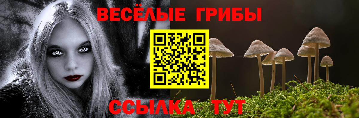 купить наркотик  Псилоцибиновые грибы MAGIC MUSHROOMS  Вход с VPN  Ярцево 